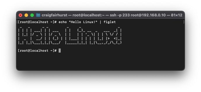 5 Fun Things You Can Do With Linux Bash